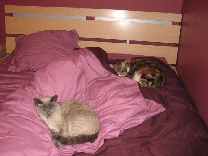 2008-03 Mia-Saphir 001.JPG